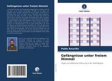 Couverture de Gefängnisse unter freiem Himmel