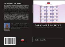 Buchcover von Les prisons à ciel ouvert