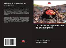 Copertina di La culture et la production de champignons