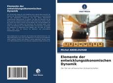 Copertina di Elemente der entwicklungsökonomischen Dynamik
