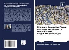Buchcover von Влияние биомассы Perna perna на численность макрофауны окружающей среды