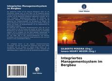 Copertina di Integriertes Managementsystem im Bergbau