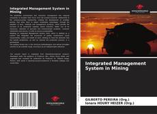 Integrated Management System in Mining的封面