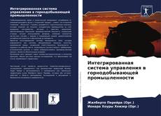 Buchcover von Интегрированная система управления в горнодобывающей промышленности