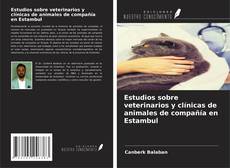 Copertina di Estudios sobre veterinarios y clínicas de animales de compañía en Estambul