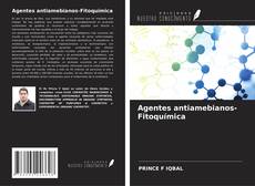 Copertina di Agentes antiamebianos-Fitoquímica