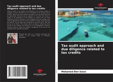Copertina di Tax audit approach and due diligence related to tax credits