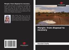 Обложка Margin: from disposal to recovery