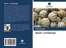 Couverture de Band I. Cantaloupe