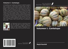 Volumen I. Cantalupo kitap kapağı