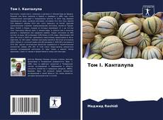 Buchcover von Том I. Канталупа