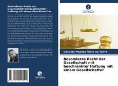 Couverture de Besonderes Recht der Gesellschaft mit beschränkter Haftung mit einem Gesellschafter