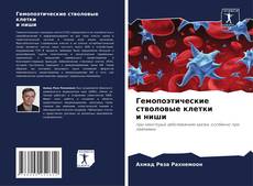 Bookcover of Гемопоэтические стволовые клеткии ниши