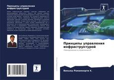 Принципы управления инфраструктурой kitap kapağı