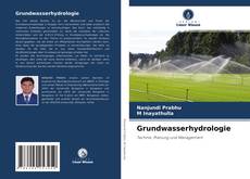 Buchcover von Grundwasserhydrologie