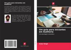Um guia para iniciantes em Auditoria kitap kapağı
