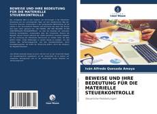 Bookcover of BEWEISE UND IHRE BEDEUTUNG FÜR DIE MATERIELLE STEUERKONTROLLE