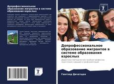 Допрофессиональное образование мигрантов в системе образования взрослых的封面