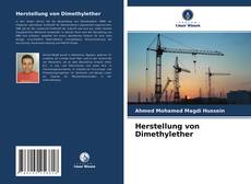 Capa do livro de Herstellung von Dimethylether 