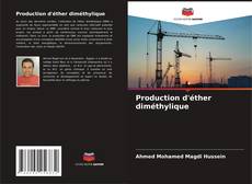 Production d'éther diméthylique kitap kapağı