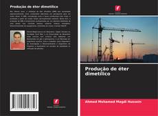 Produção de éter dimetílico kitap kapağı