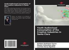Youth Audiovisual Consumption of the Creative Industries in Santa Clara kitap kapağı