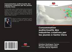 Copertina di Consommation audiovisuelle des industries créatives par les jeunes à Santa Clara