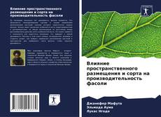 Обложка Влияние пространственного размещения и сорта на производительность фасоли