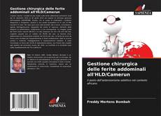 Обложка Gestione chirurgica delle ferite addominali all'HLD/Camerun