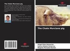 Borítókép a  The Chato Murciano pig - hoz