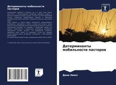 Детерминанты мобильности пасторов kitap kapağı