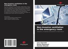 Capa do livro de Non-invasive ventilation in the emergency room 