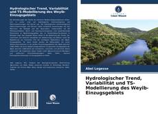 Copertina di Hydrologischer Trend, Variabilität und TS-Modellierung des Weyib-Einzugsgebiets