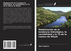 Copertina di Modelización de la tendencia hidrológica, la variabilidad y la TS de la cuenca de Weyib
