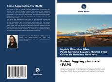 Copertina di Feine Aggregatmatrix (FAM)