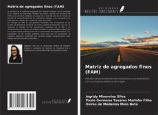 Matriz de agregados finos (FAM) kitap kapağı