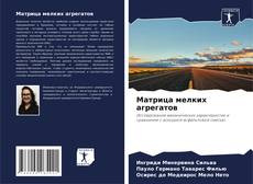 Portada del libro de Матрица мелких агрегатов