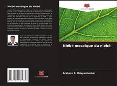 Niébé mosaïque du niébé的封面