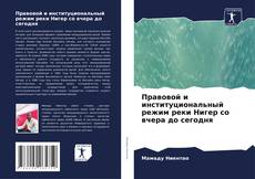 Правовой и институциональный режим реки Нигер со вчера до сегодня kitap kapağı