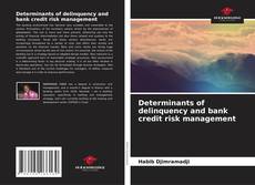 Buchcover von Determinants of delinquency and bank credit risk management