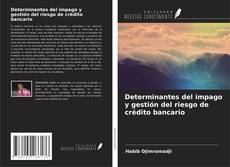 Capa do livro de Determinantes del impago y gestión del riesgo de crédito bancario 