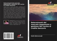 Обложка Determinanti del mancato pagamento e gestione del rischio di credito bancario