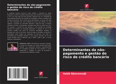Bookcover of Determinantes da não-pagamento e gestão do risco de crédito bancário