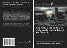 Copertina di Los niños de la calle y el sistema de justicia juvenil en Camerún