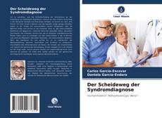 Copertina di Der Scheideweg der Syndromdiagnose