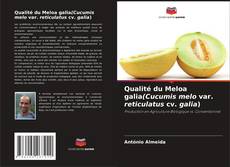 Buchcover von Qualité du Meloa galia(Cucumis melo var. reticulatus cv. galia)