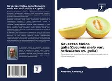 Buchcover von Качество Meloa galia(Cucumis melo var. reticulatus cv. galia)
