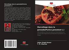 Copertina di Marcottage dans la grenade(Punica granatum L.)
