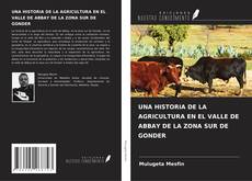 Buchcover von UNA HISTORIA DE LA AGRICULTURA EN EL VALLE DE ABBAY DE LA ZONA SUR DE GONDER