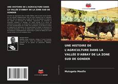 Buchcover von UNE HISTOIRE DE L'AGRICULTURE DANS LA VALLÉE D'ABBAY DE LA ZONE SUD DE GONDER